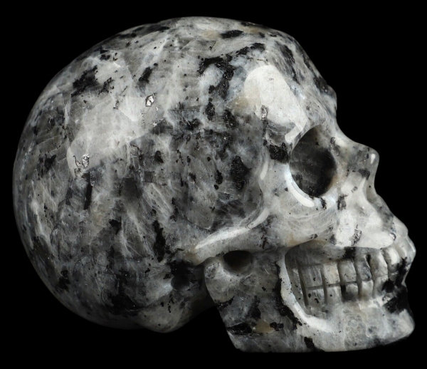 Skull Larvikite